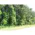 104 Woodcliff Dr., Wellford, SC - MLS 172328