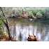 Chattahoochee Acres Drive, Cleveland, GA - MLS 85868