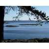 Friday Harbor Real Estate