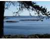 Click here to View Real Estate near 170 black rd Friday Harbor, WA 98250 homes near 170 black rd Friday Harbor, WA 98250