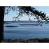 61 Blue Water Lane, Friday Harbor, WA - MLS 28164613