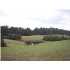 9920 BOLD SPRINGS RD , Mc Ewen, TN - MLS 1005057
