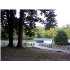 9920 BOLD SPRINGS RD , Mc Ewen, TN - MLS 1004866