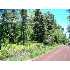4th Ave, Keaau, HI - MLS 208181