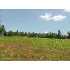 Co Rd 545 Eagle Glenn, Englewood, TN - MLS 674359