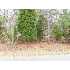 212 Sequoyah Drive, Chesnee, SC - MLS 173597
