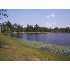 Boyleston Pond Rd., Neeses, SC - MLS 32958
