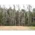 327 Country Club Lane, Newport, NC - MLS 70261