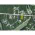 660  Tyson Drive, Pawleys Island, SC - MLS 829172