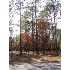 Lot 21 Vintage Road, Pawley