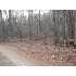 Fern Valley Trail, Clarkesville, GA - MLS 86111