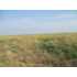 0 Buckskin Dr, Colorado City, CO - MLS 121673