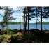11 Dead Stream RD, Lincoln, ME - MLS 773633