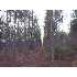 Tract 1 Beecher Road, Rochelle, GA - MLS 116634