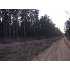 Tract 2 Beecher Road, Rochelle, GA - MLS 116632