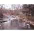 2821 E LITTLE RICHLAND RD , Waverly, TN - MLS 1048090