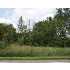 DIETZ RD, WILLIAMSTON, MI - MLS 185340