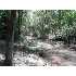 0 Hwy 11, Inman, SC - MLS 174334
