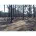 327 Dawson Creek Boulevard, Oriental, NC - MLS 70748