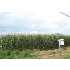 14926 FALLING WATERS RD, WILLIAMSPORT, MD - MLS WA6812250