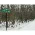 LOT 719 Paper Birch North , Tafton, PA - MLS 09-04