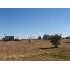 907 W Bayshore, Palacios, TX - MLS 5517