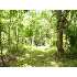 6248 RIVER RD, SHARPSBURG, MD - MLS WA6795818