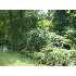 OLD RECEIVER RD, FREDERICK, MD - MLS FR6817817