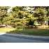 5 PARK DR, BOONSBORO, MD - MLS WA6902794