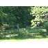 17404 SPIELMAN RD, FAIRPLAY, MD - MLS WA6822297