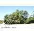 1454 OAK RIDGE PL, HAGERSTOWN, MD - MLS WA6581298