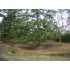 Kittiwake Ln, Friday Harbor, WA - MLS 29014631