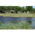 8807 BELLECHASE, Granbury, TX - MLS 11150951