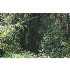 0 W Spring Lake Dr, Vancleave, MS - MLS 209094