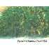 12172 / 76 PONCE DE LEON BLVD, Brooksville, FL - MLS 2100919