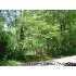 9039 CARTER ROAD, Brooksville, FL - MLS 2097350