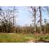 1705 Gardendale RD, Fort Mill, SC - MLS 1058192
