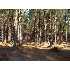 0 E Buck Road, Fitzgerald, GA - MLS 116764