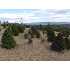 HOWARDS CHAPEL RD #8 RD, WINCHESTER, VA - MLS FV5114834