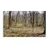 9 OAK CREST DR, SLANESVILLE, WV - MLS HS6979851