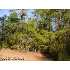 165 Longwood Dr, Stella, NC - MLS 09-734