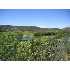 1304 W Lake Drive, Payson, AZ - MLS 57647