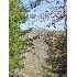 Lot 6 Stanley Nix Road, Cleveland, GA - MLS 86766