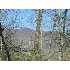 Stanley Nix, Cleveland, GA - MLS 86766