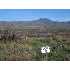11 Hwy. 188, Tonto Basin, AZ - MLS 57759