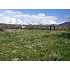 4 Asher Blvd., Tonto Basin, AZ - MLS 57780