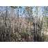 Lot 31 Bahn Erlenbruck, Helen, GA - MLS 86642