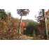 Lt 16 Cameron Acres, Cleveland, GA - MLS 87742