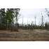103 Hac Street, Jacksonville, NC - MLS 99981