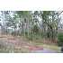 304 E Aspen Lane, Jacksonville, NC - MLS 99983